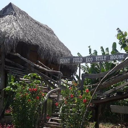 Sunny Field Eco Stilt House Villa Cat Tien Exterior foto
