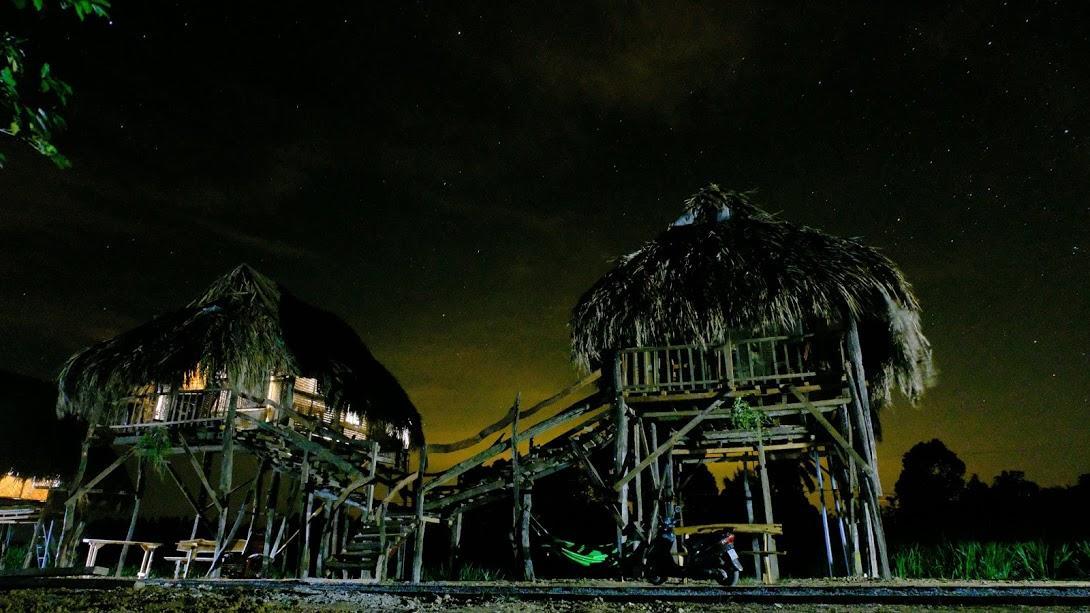 Sunny Field Eco Stilt House Villa Cat Tien Exterior foto