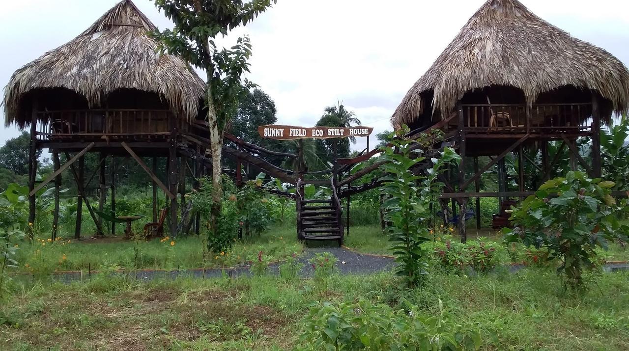 Sunny Field Eco Stilt House Villa Cat Tien Exterior foto