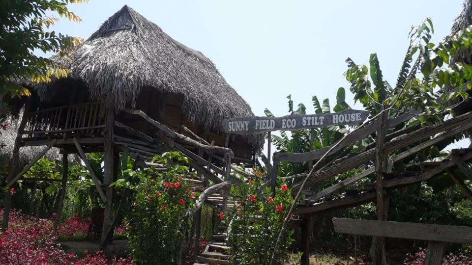 Sunny Field Eco Stilt House Villa Cat Tien Exterior foto